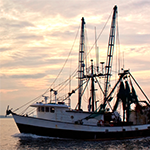 RedPort Halo Commercial Fishing